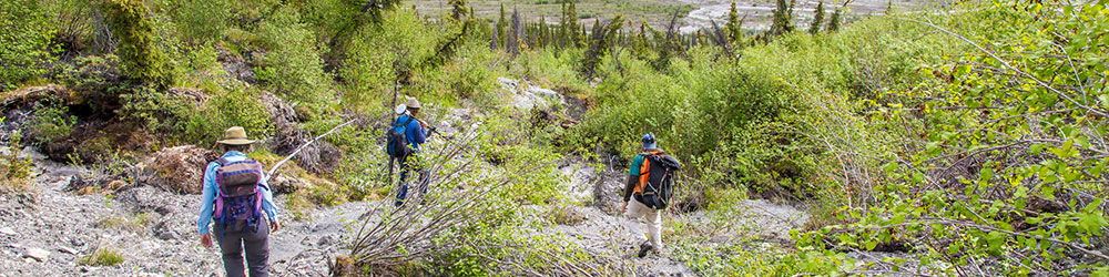 Associate professor Margaret Darrow, left, and state geologists Ronald Daanen and Trent Hubbard take GPS readings from a number of pre-installed stations as they hike down one of a series of frozen debris lobes which have appeared along hillsides in the Dietrich River valley in the southern Brooks Range, which could threaten the highway and the nearby trans-Alaska pipeline. ϲͶעapp photo by Todd Paris