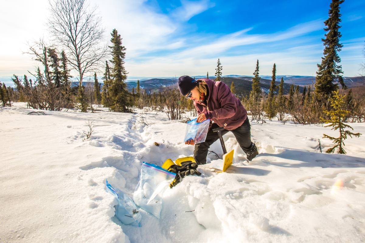 A ϲͶעapp research assistant professor collecting snow samples.